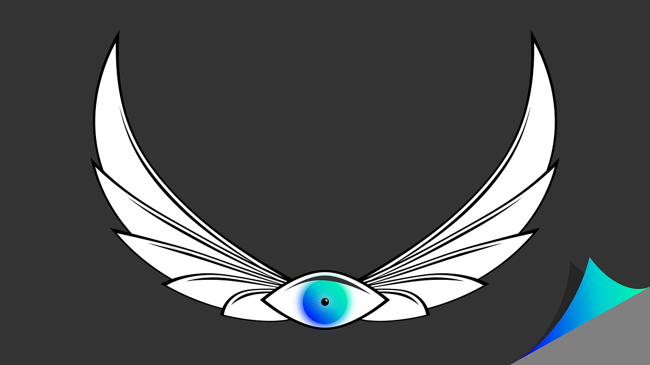 eye wing graphic free photo