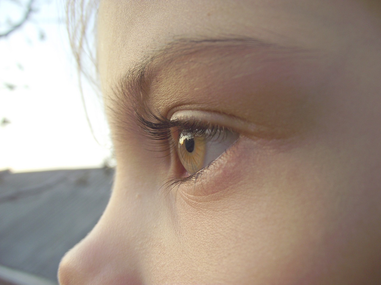 eye watch girl free photo