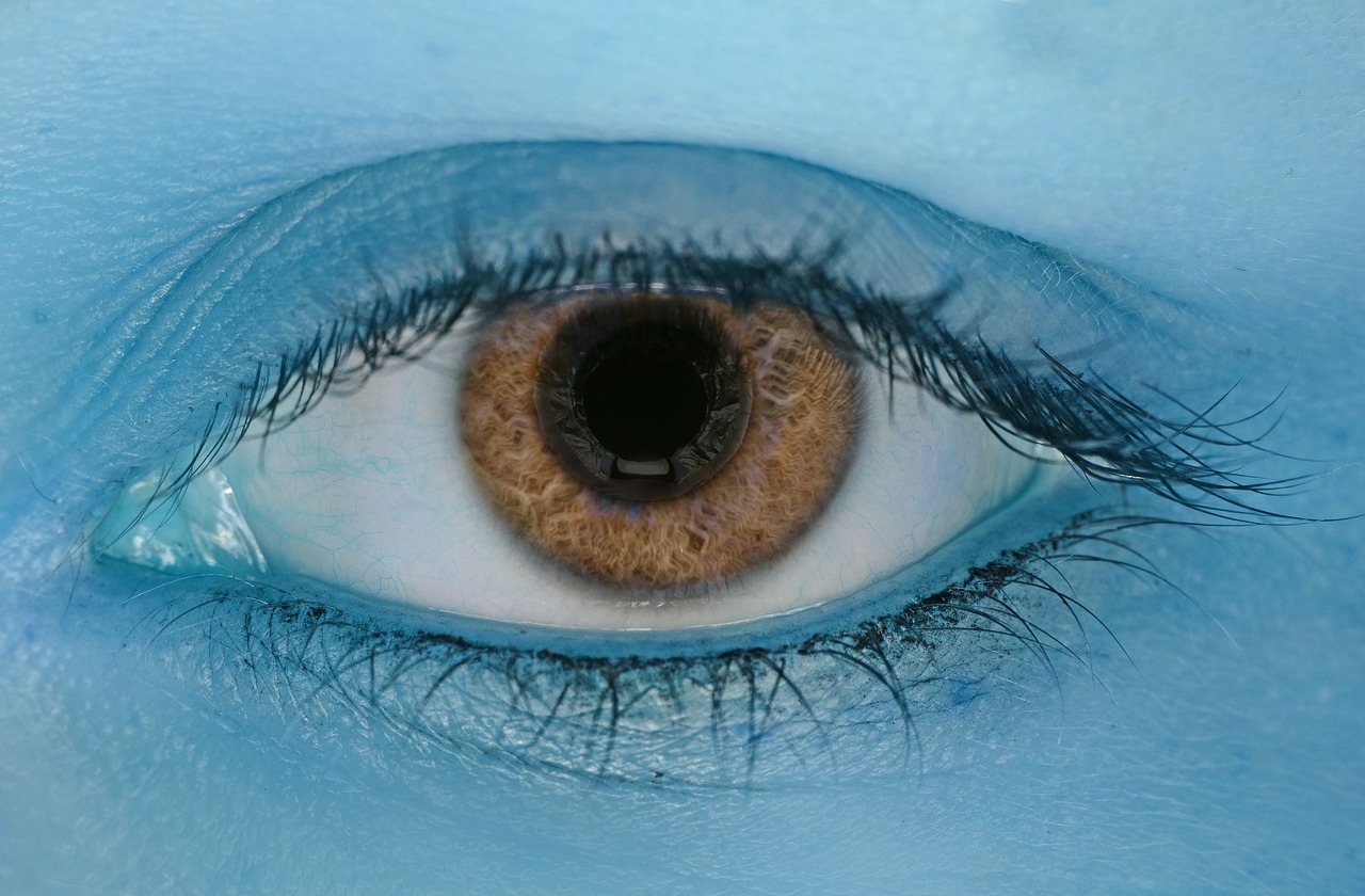 eye color blue free photo