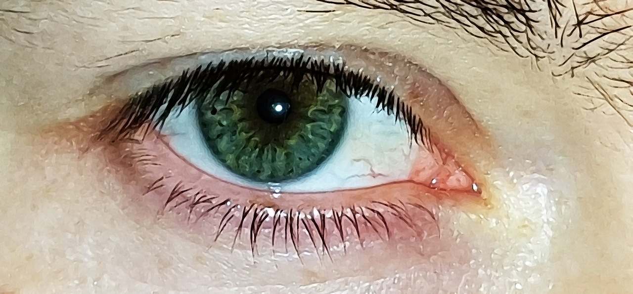 eye green eyelashes free photo
