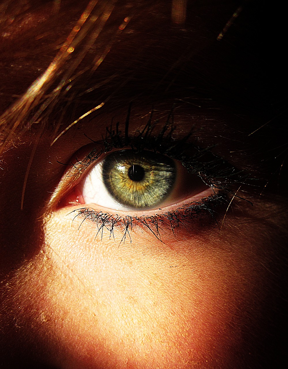 eye colour green free photo