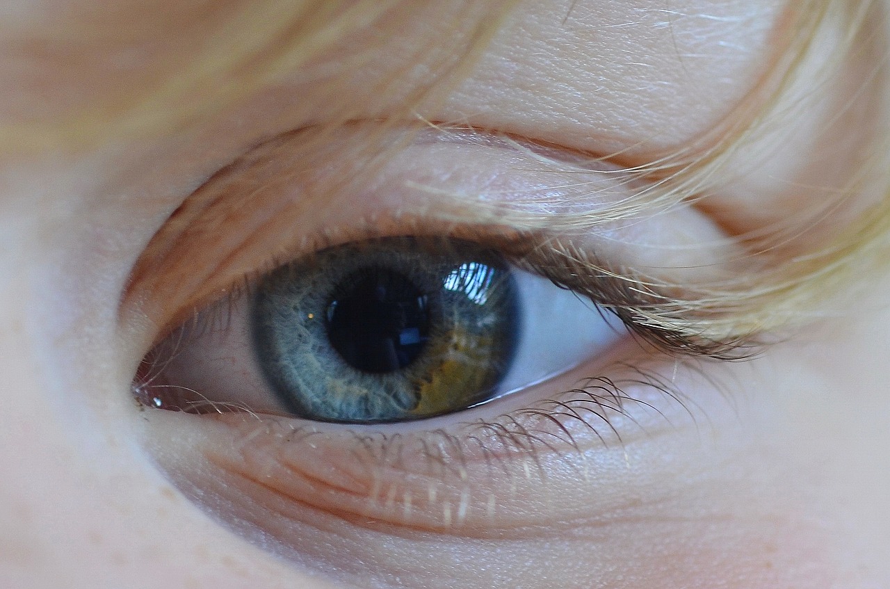 eye color yellow free photo