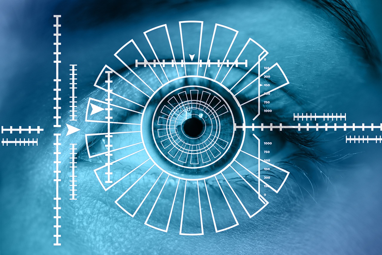 eye,iris,biometrics,iris recognition,security,authentication,identity verification,identification,safety concept,eyes,iris scan,access control,eye-print check,dangers,data retention,personality rights,sensitive,data security,threat,symbol,information,iris scanner,free pictures, free photos, free images, royalty free, free illustrations, public domain