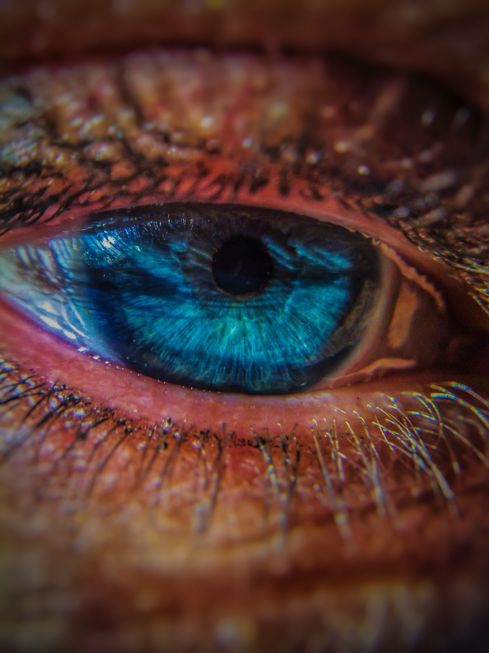 eye human blue free photo