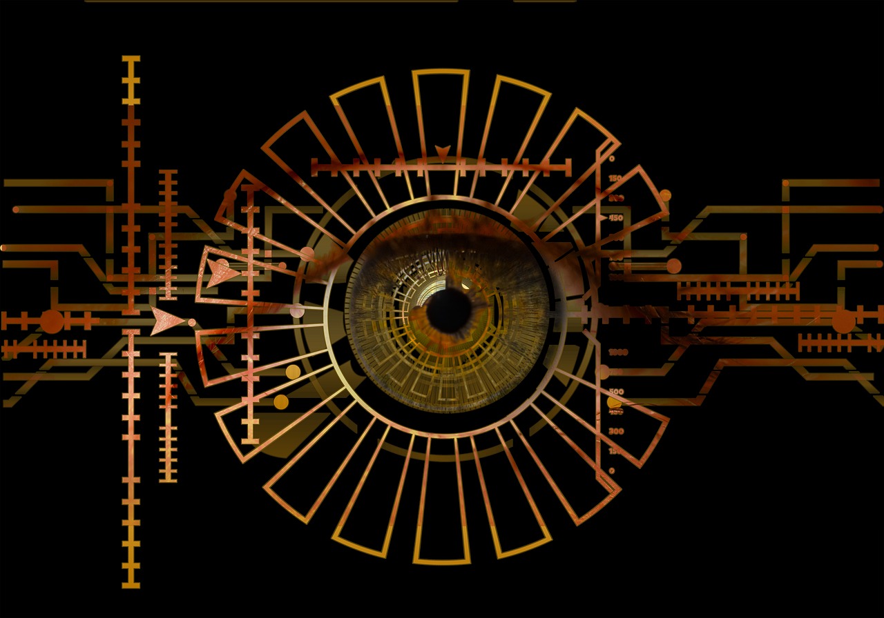 eye iris biometrics free photo