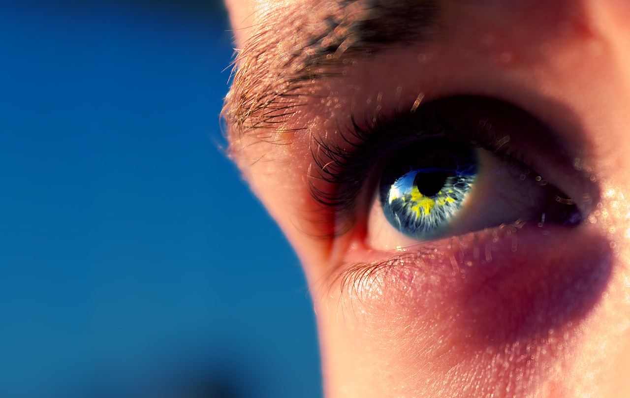 eye blue macro free photo