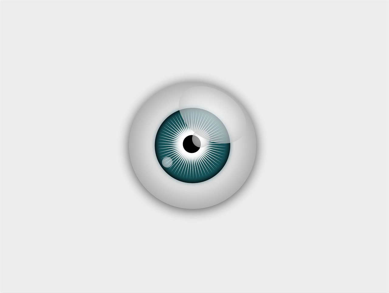 eye eyeball retina free photo