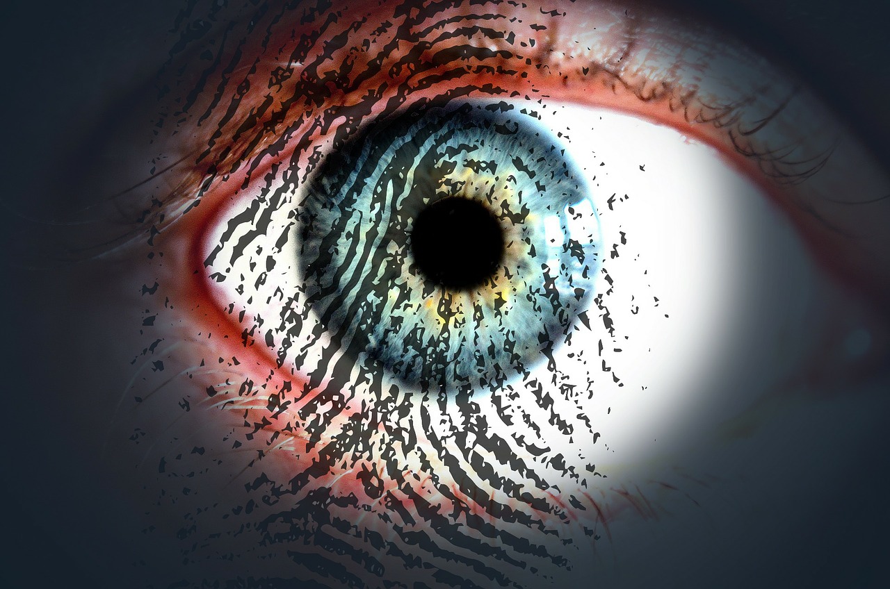 eye fingerprint eye-print check free photo