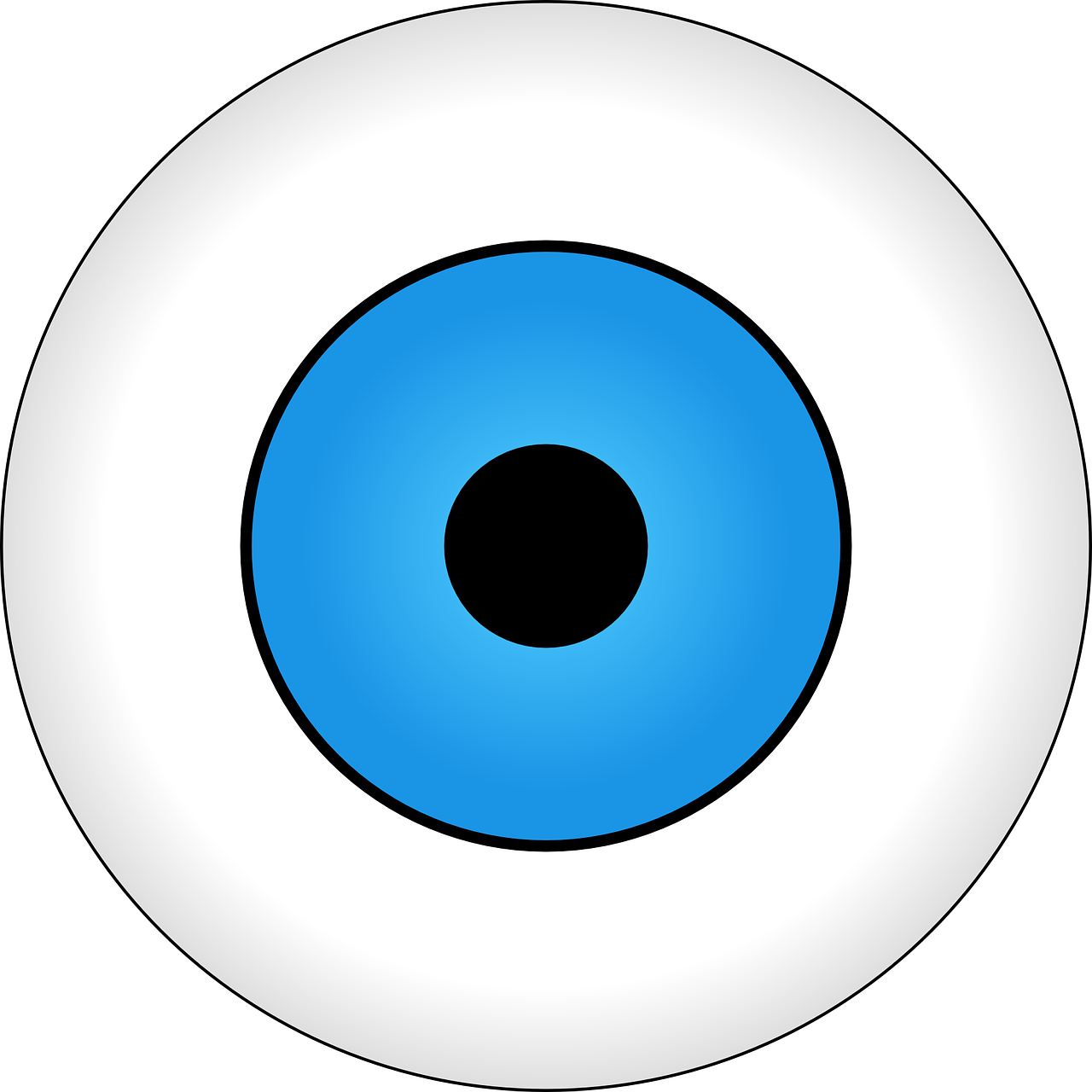 eye eyeball vision free photo