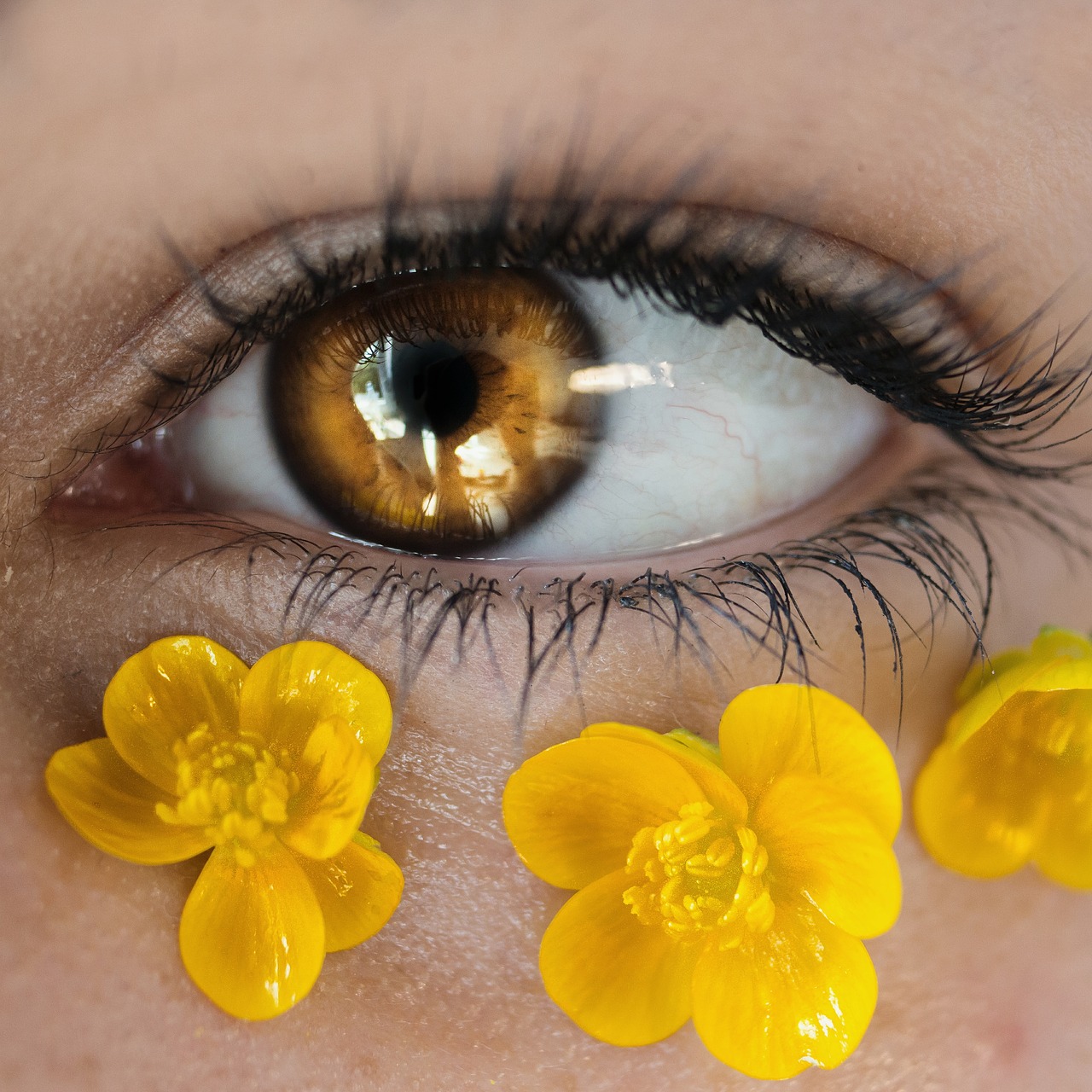 eye  art  flowers free photo