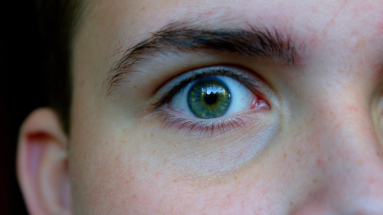 eye  green  iris free photo