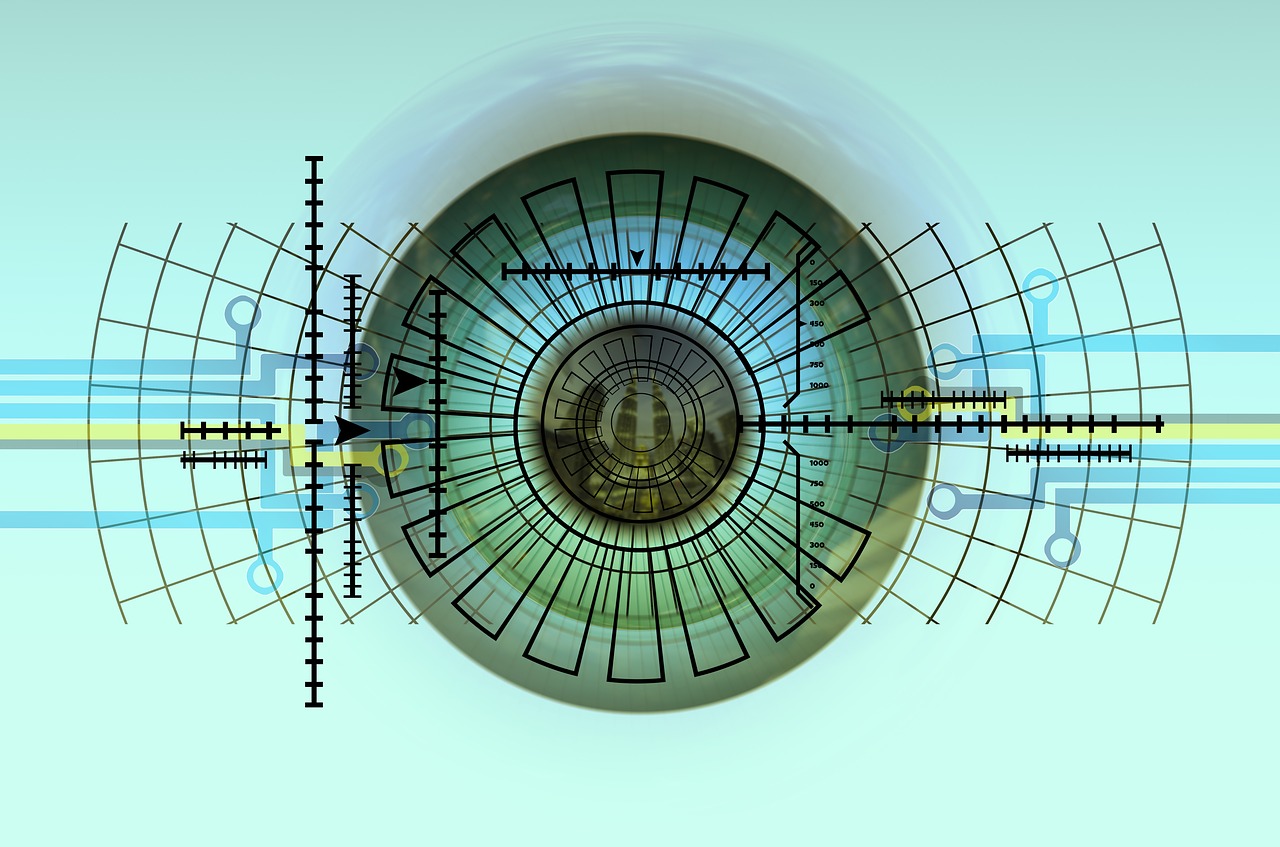 eye  iris  biometrics free photo
