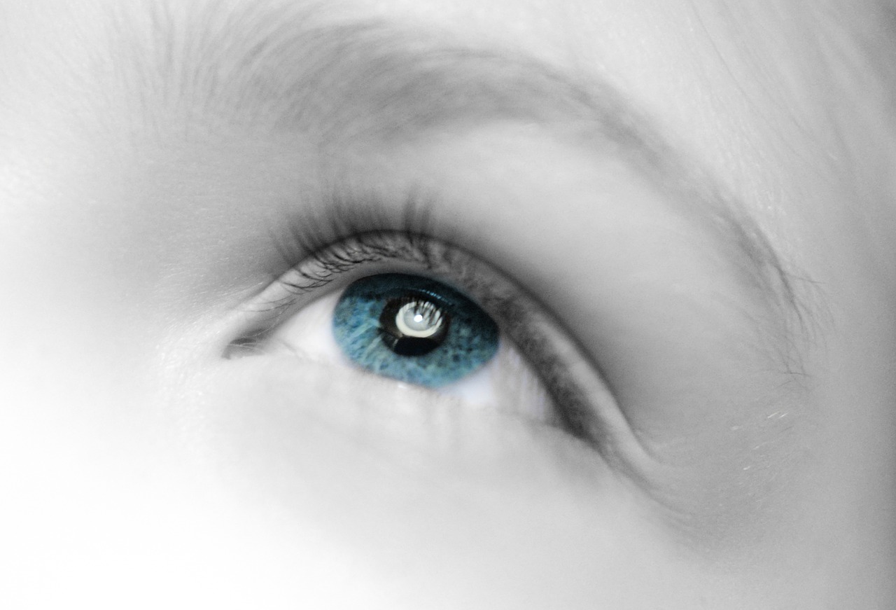 eye  close up  staring free photo