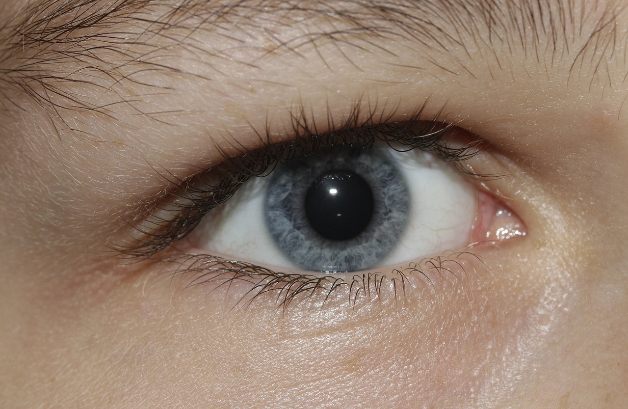 eye iris see free photo