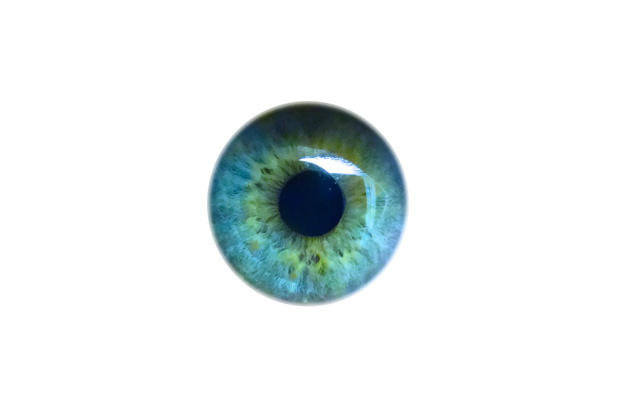 eye iris look free photo