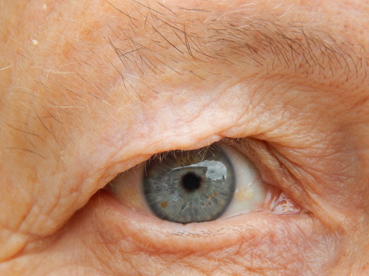 eye view grandma free photo