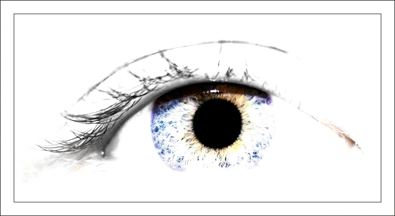 eye pupil iris free photo