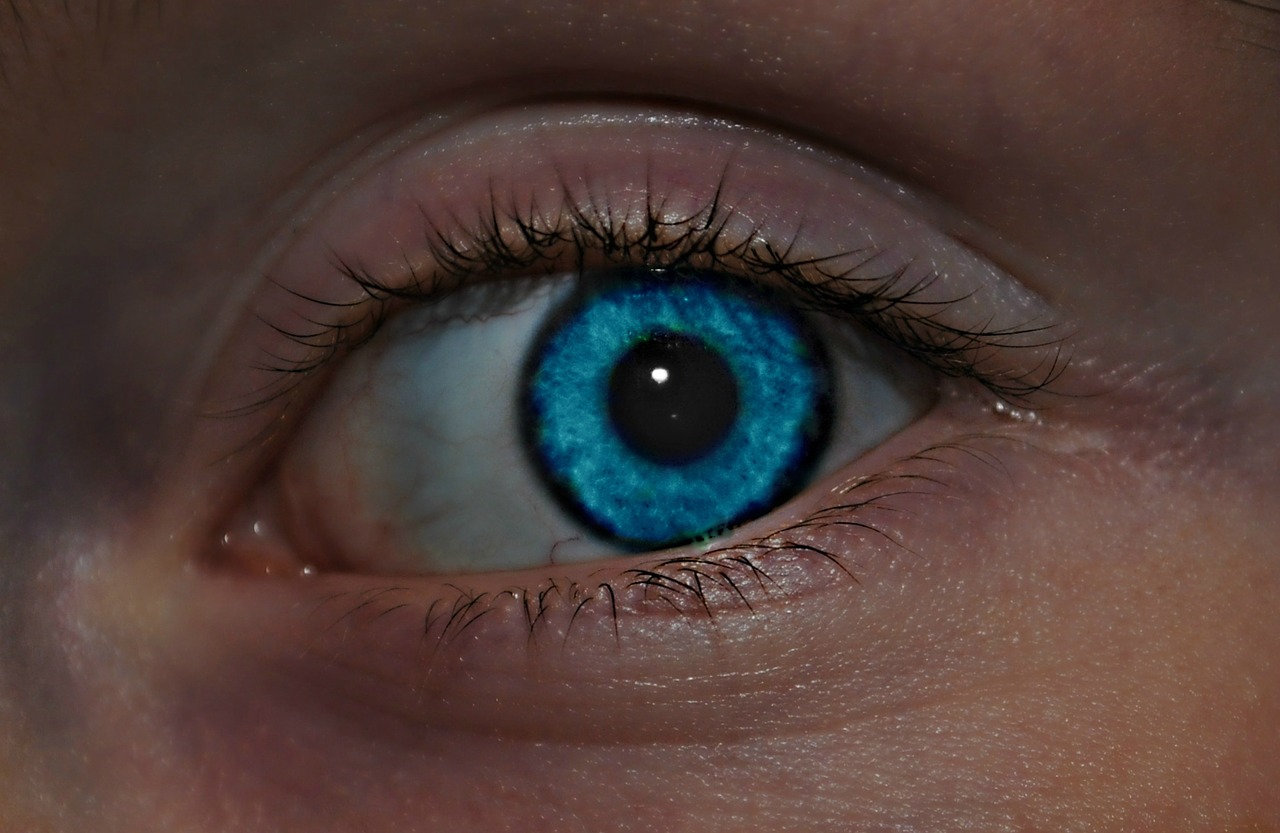 eye blue woman free photo