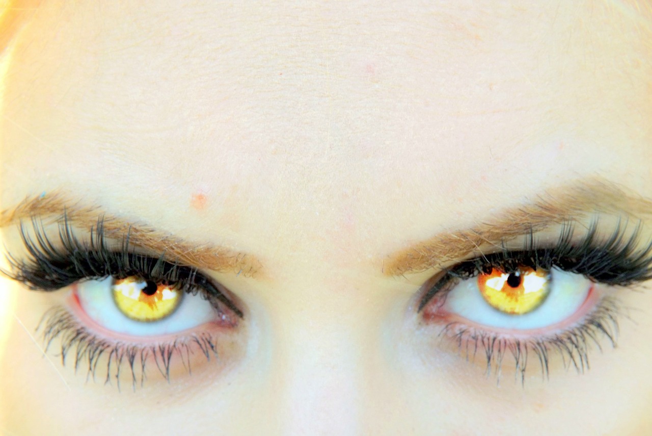 Eye,yellow,vampire,gene,free pictures - free image from needpix.com