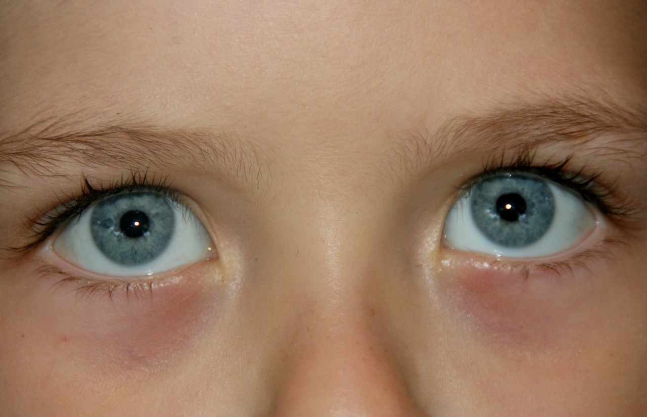 eye blue gene free photo