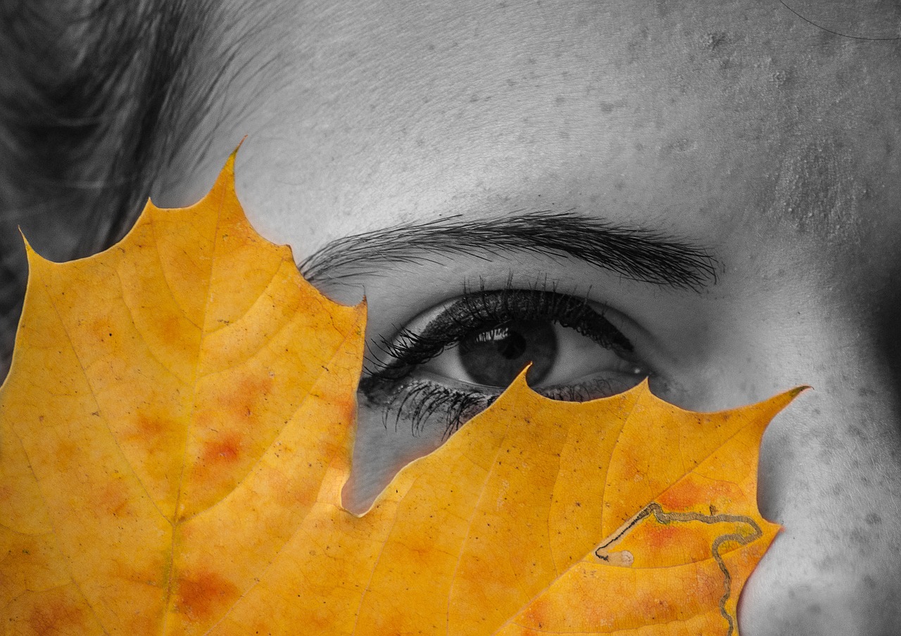 eye sheet autumn free photo