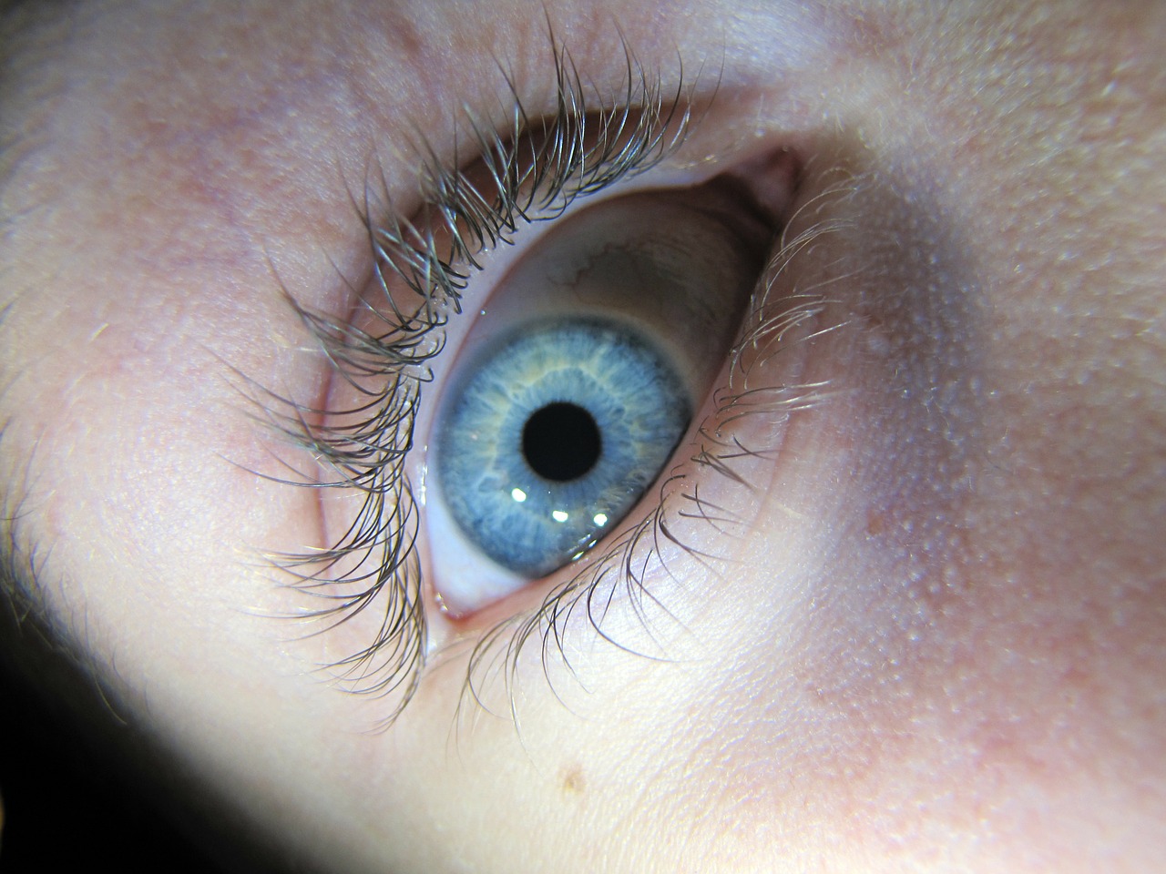 eye szupermakró macro iris free photo