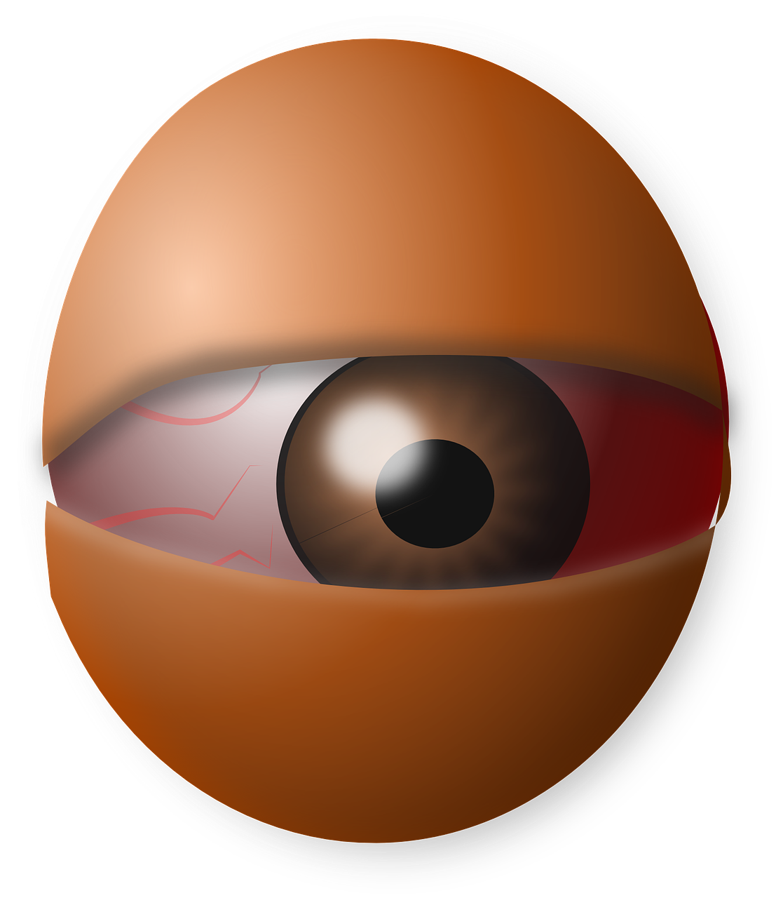 eyeball eye human free photo