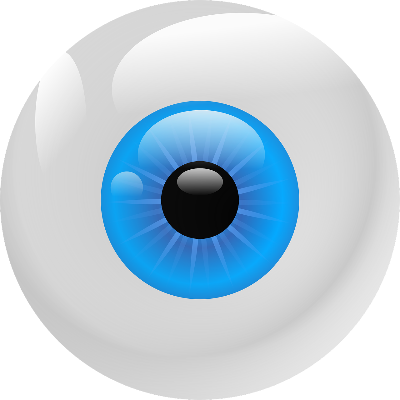 eyeball iris pupil free photo