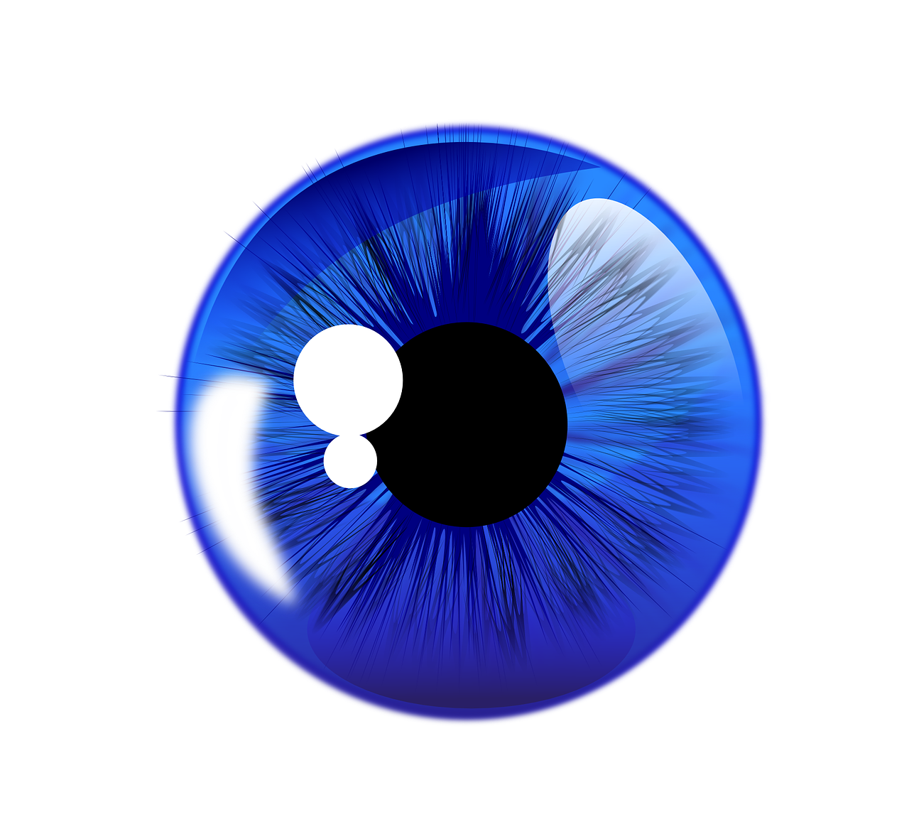 eyeball eye iris free photo