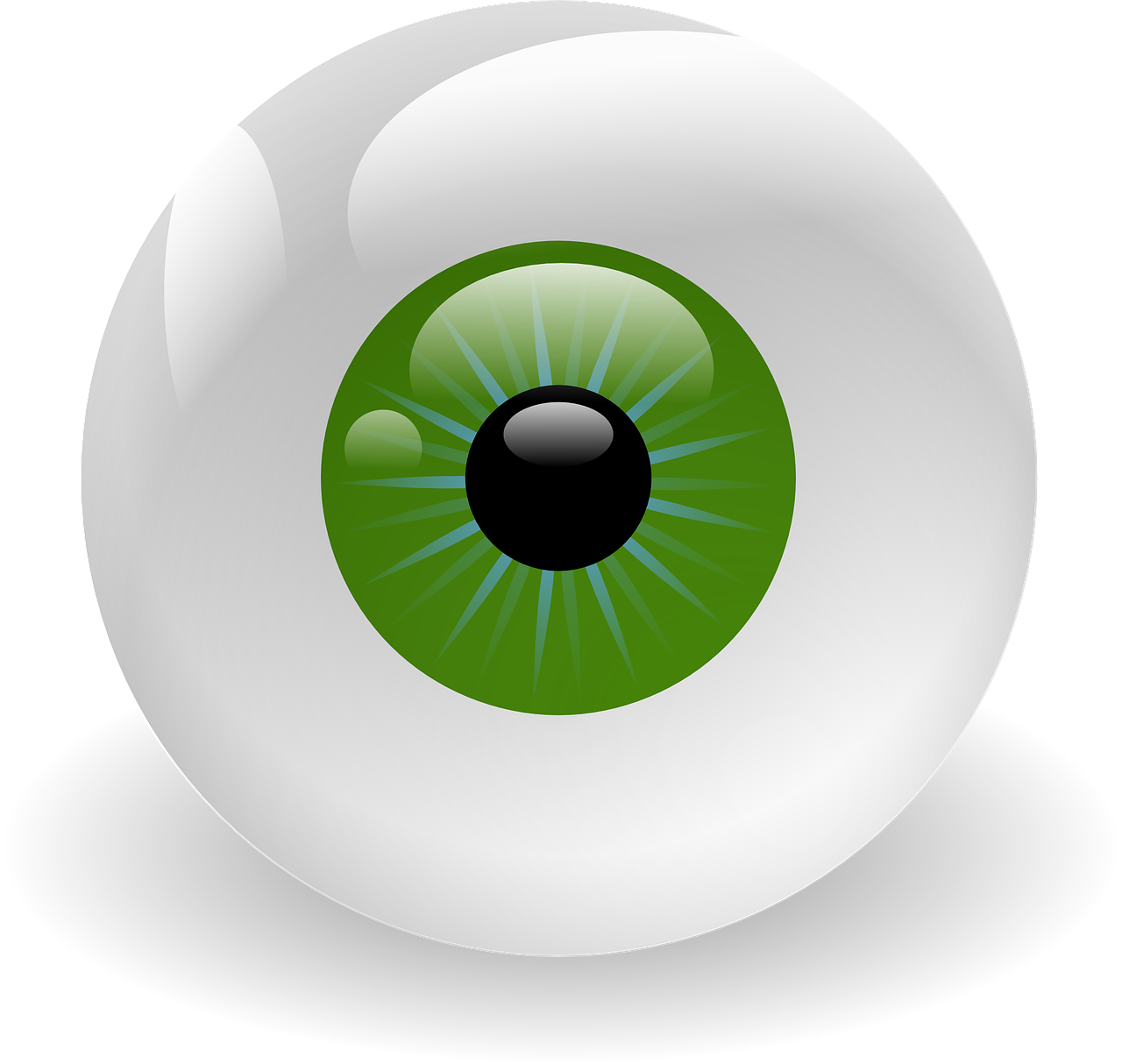 eyeball vision retina free photo