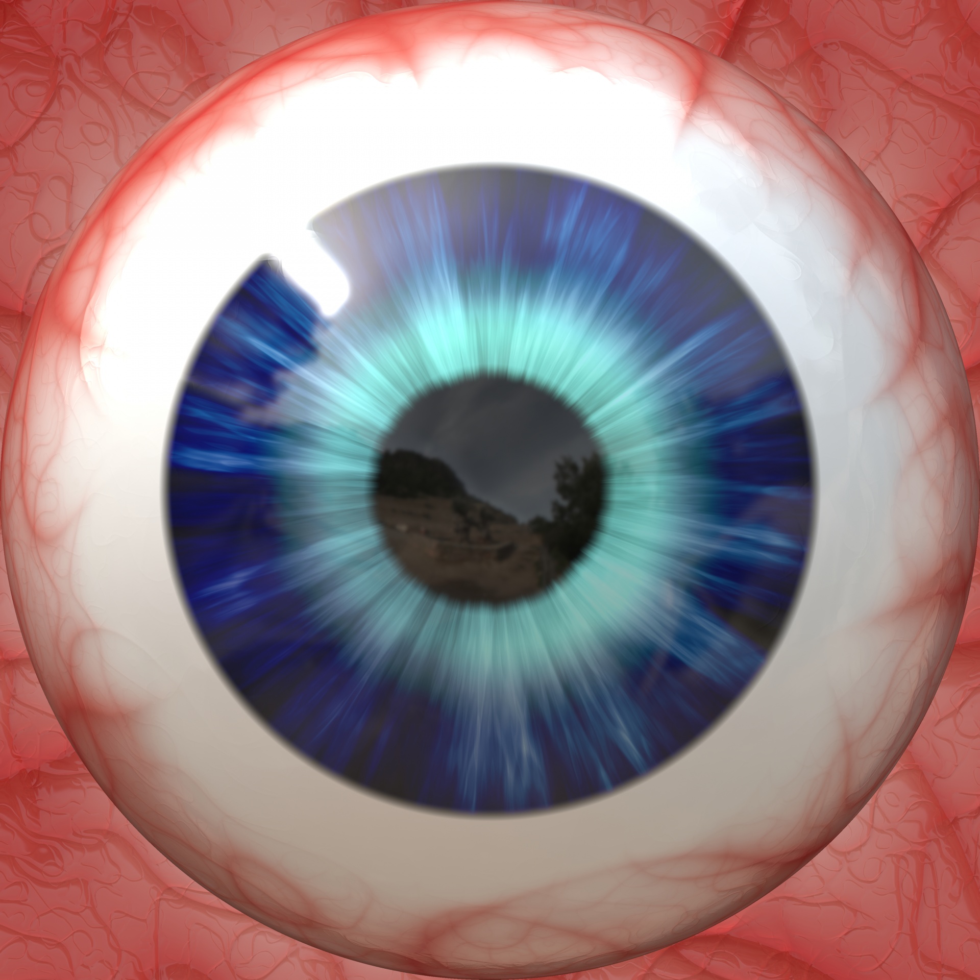 anatomy eye eyeball free photo