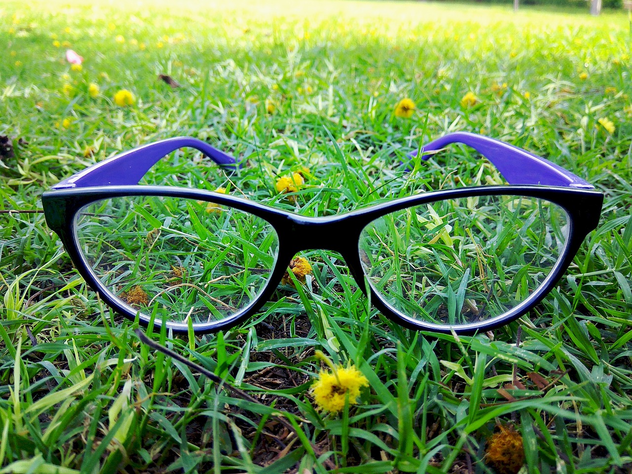 eyeglass eyewear greenery free photo