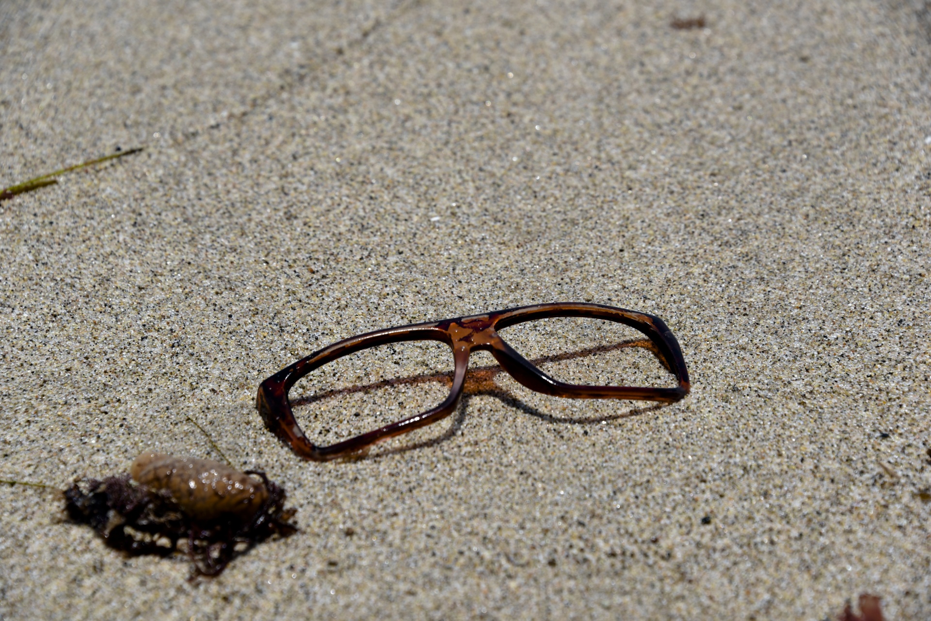 discards eyeglasses beach free photo