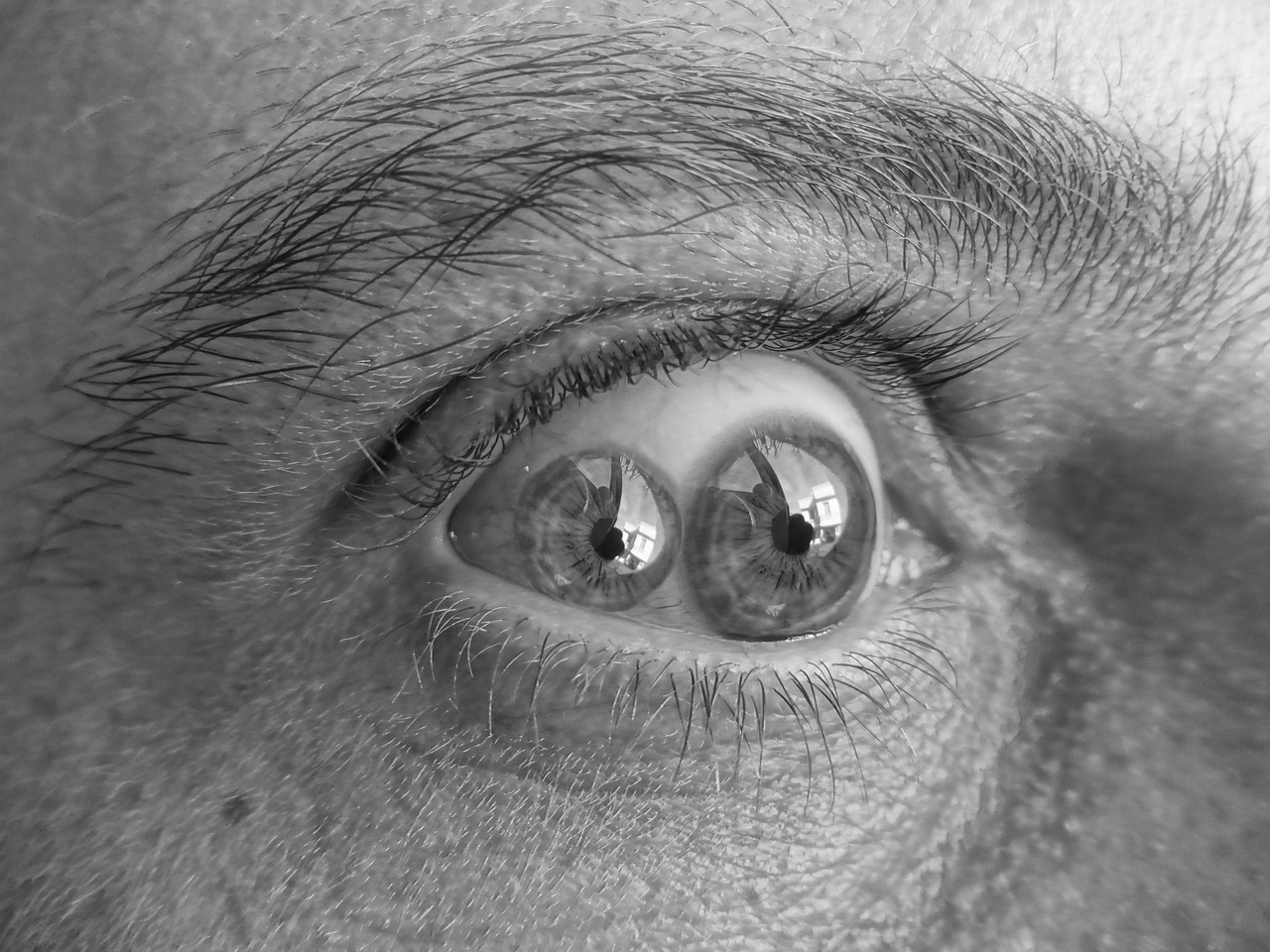 eyes double view black and white free photo