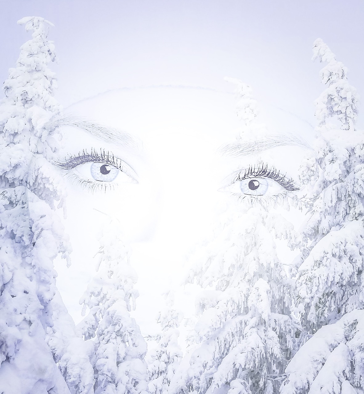 eyes woman winter free photo