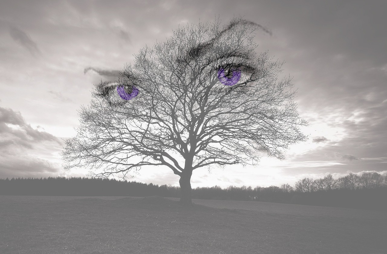 eyes fantasy photoshop manipulation free photo