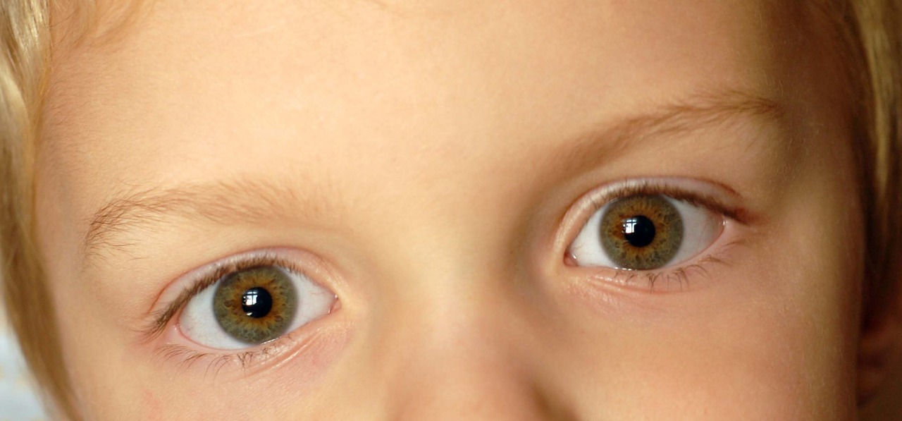 eyes  child  boy free photo