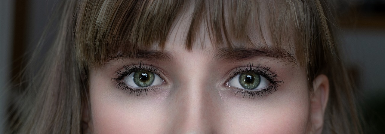 eyes  green  close up free photo