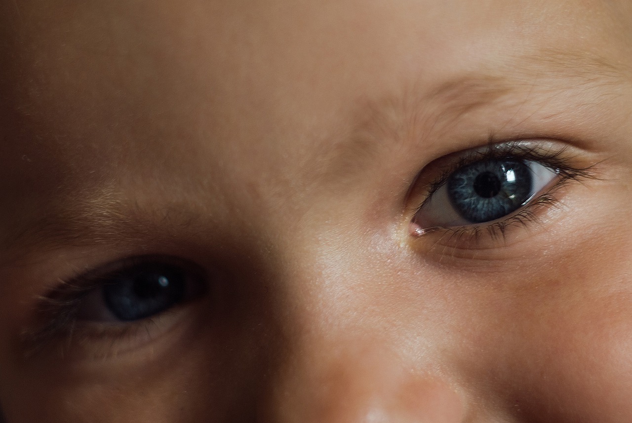 eyes  child  portrait free photo