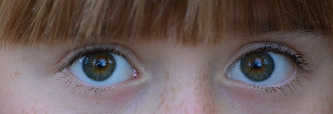 eyes child girl free photo