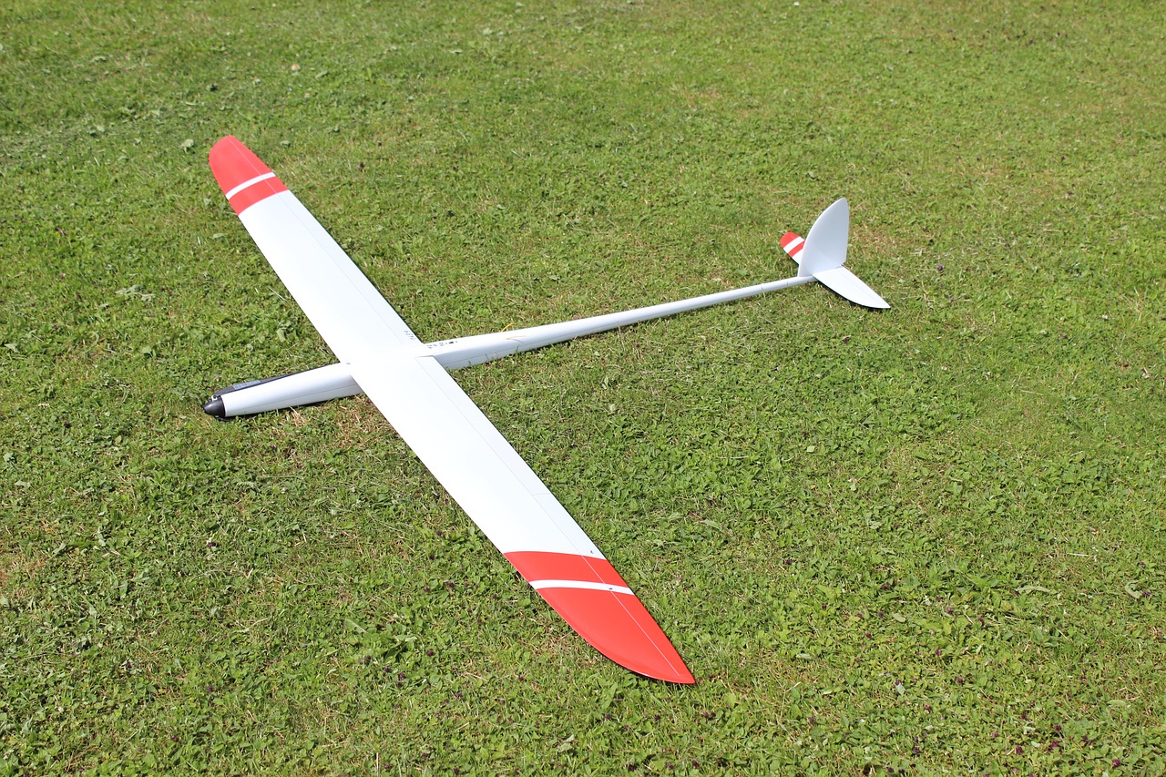 f5b  model flight  meadow free photo