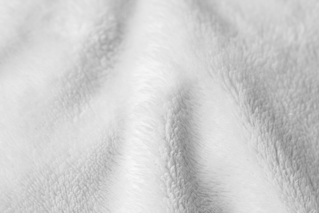 fabric white texture free photo