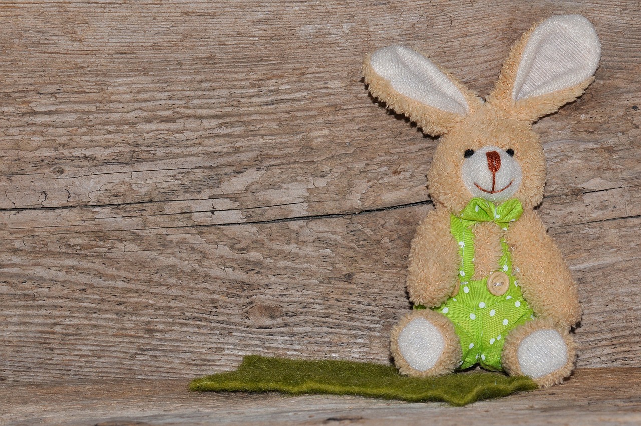 fabric bunny hare wood free photo