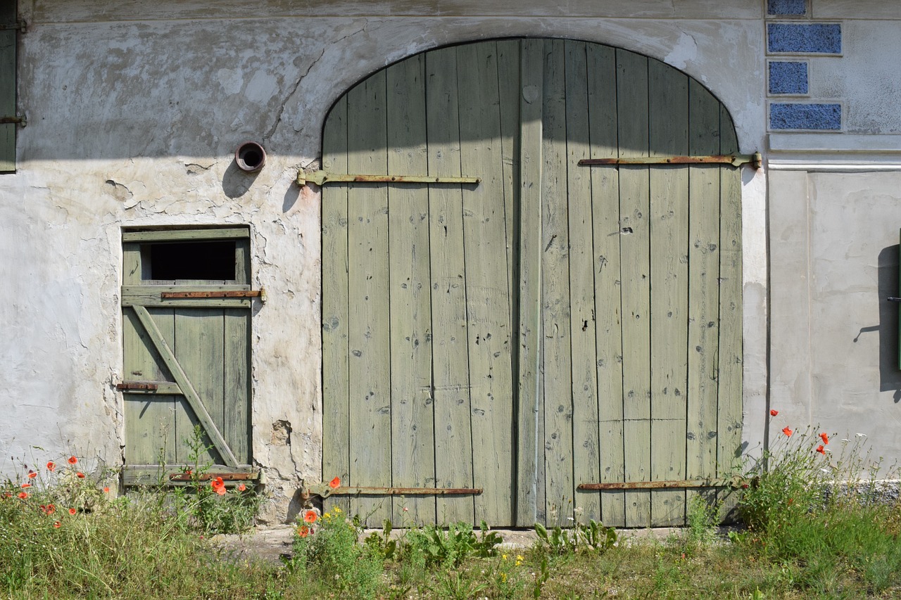 facade goal historically free photo