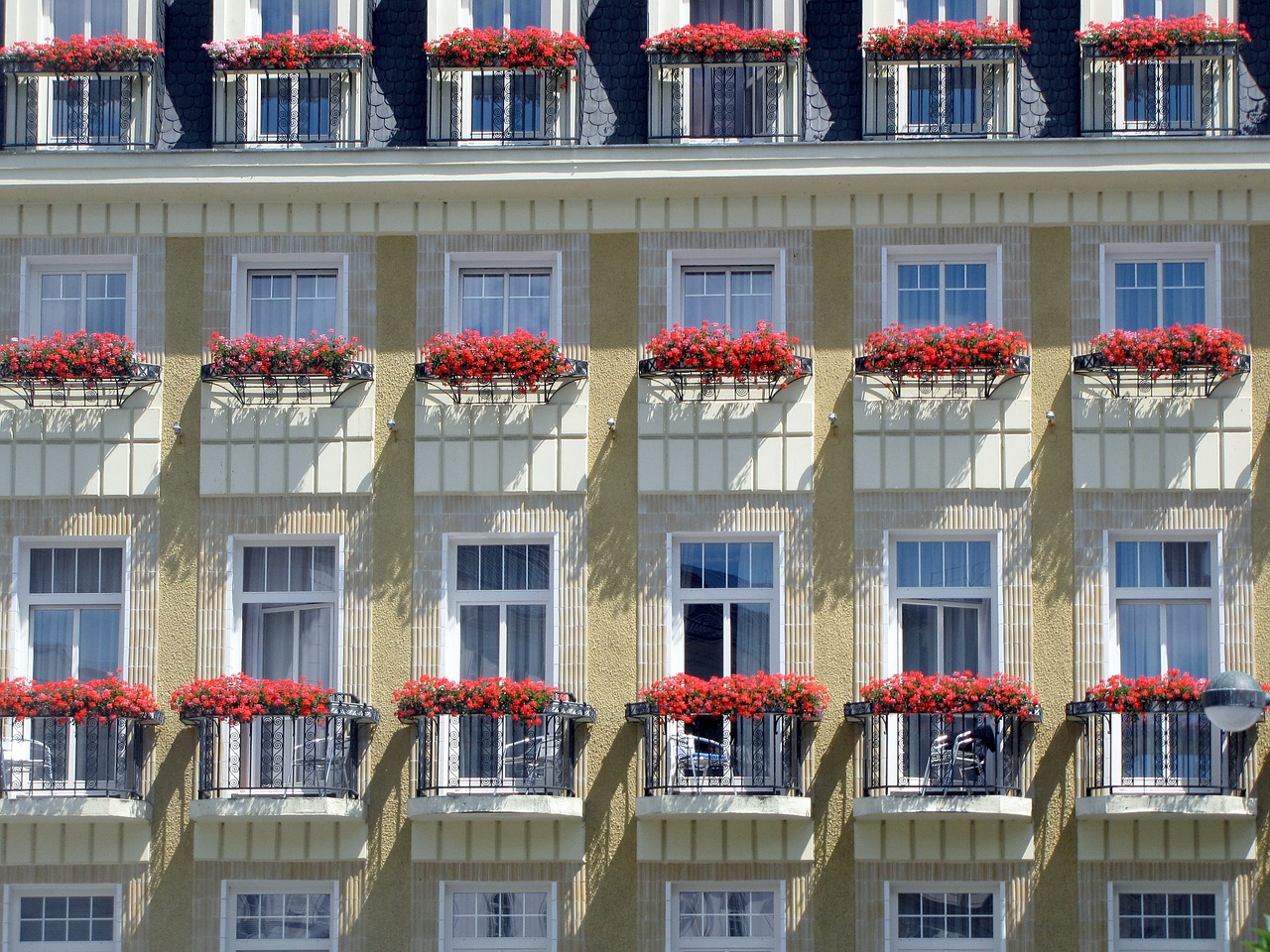 facade balconies flowers free photo