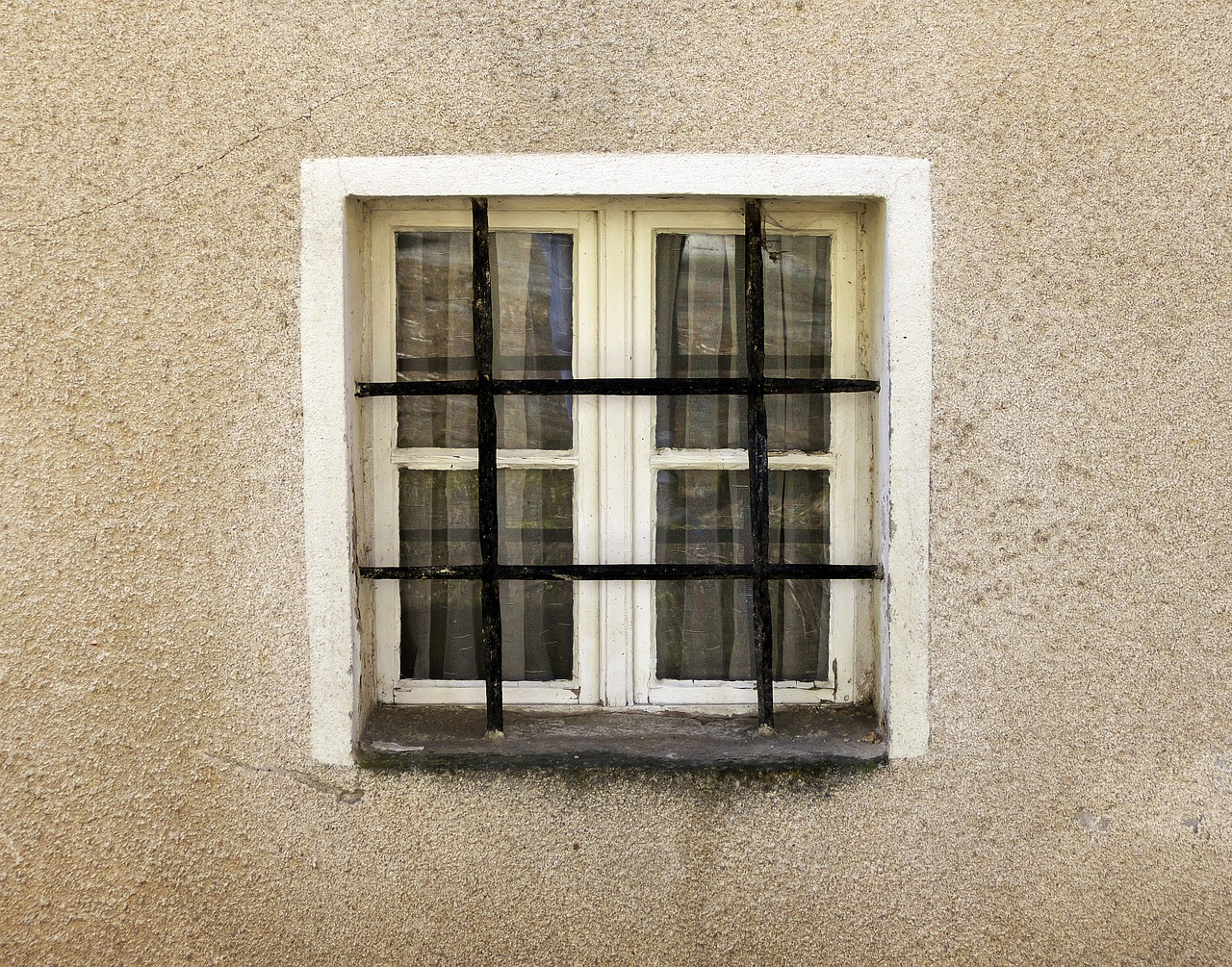 facade  grid  window free photo