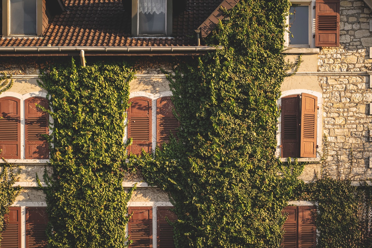 facade  window  architecture free photo