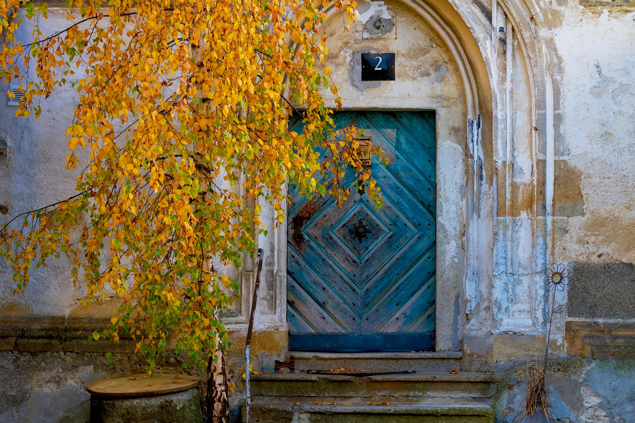 facade  door  old free photo