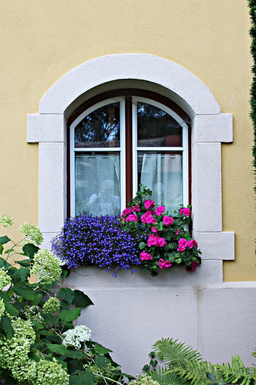 facade window architecture free photo