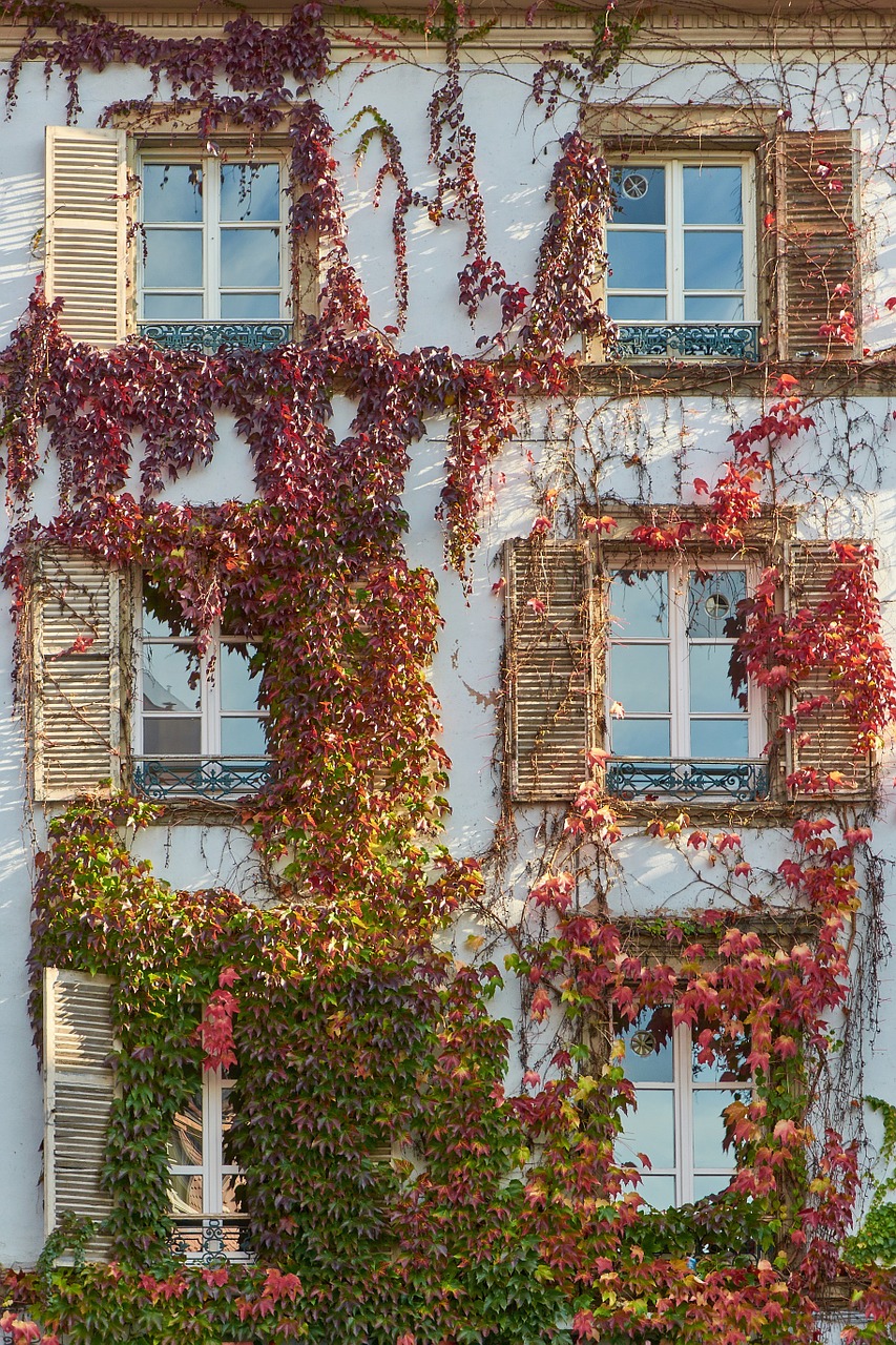 facade home hauswand free photo